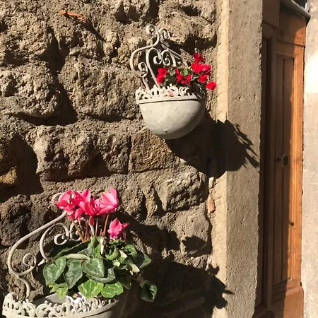 Il Gallo